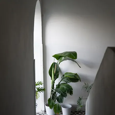 Casa Dafne Historical Center Wonderful Rooftop