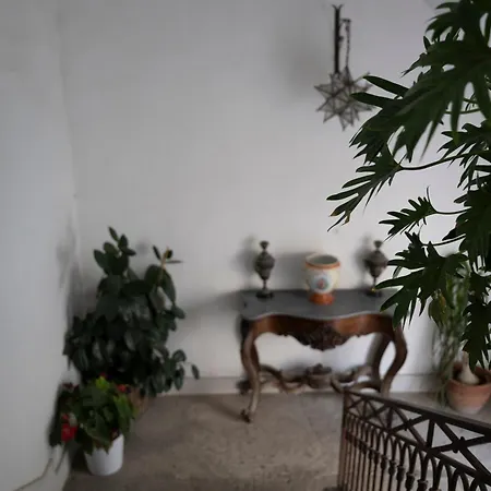 Casa Dafne Historical Center Wonderful Rooftop *