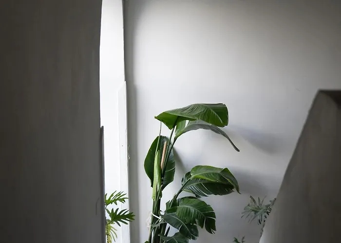 Casa Dafne Historical Center Wonderful Rooftop