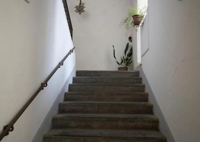 Casa Dafne Historical Center Wonderful Rooftop Vakantiehuis *