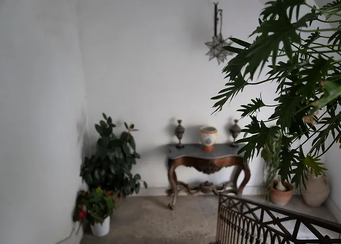 Casa Dafne Historical Center Wonderful Rooftop *