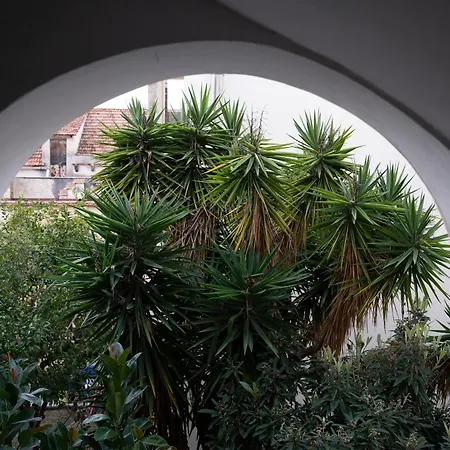 Casa Dafne Historical Center Wonderful Rooftop Sorrento