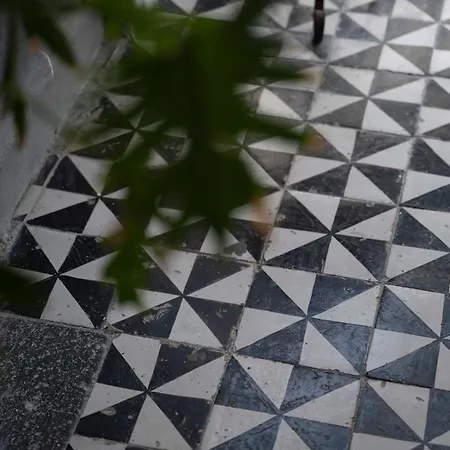 Casa Dafne Historical Center Wonderful Rooftop Tatil Evi *