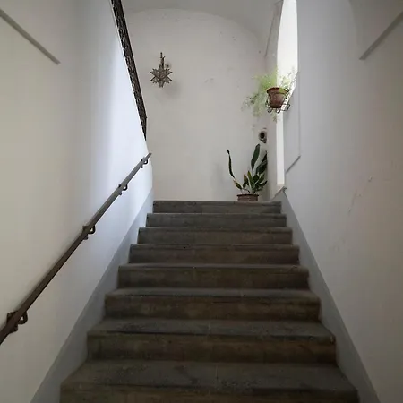 Casa Dafne Historical Center Wonderful Rooftop Tatil Evi *