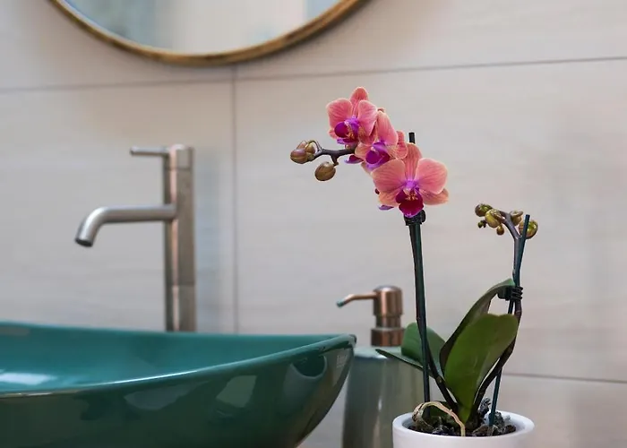 Casa vacanze Casa Dafne Historical Center Wonderful Rooftop *