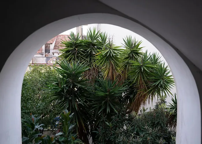 Casa Dafne Historical Center Wonderful Rooftop Sorrento