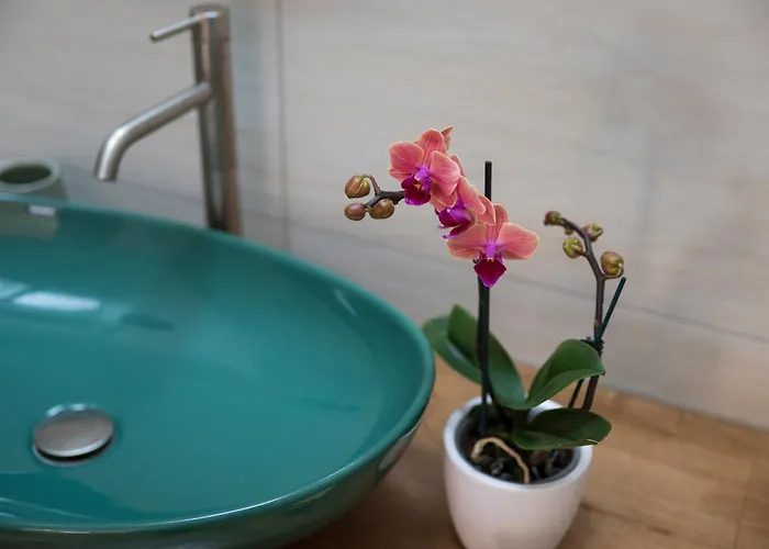 Casa vacanze Casa Dafne Historical Center Wonderful Rooftop Sorrento